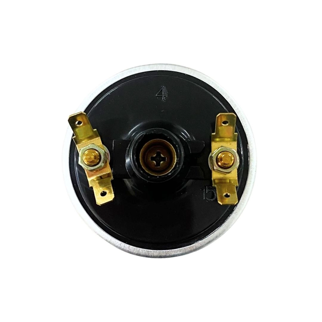 Bobina de Ignição Asfáltica 12V 2 Pinos Universal Linha GM Chevrolet Monza Kadett Ipanema Chevette Caravan Opala Gauss O Bobina de Ignição Asfáltica 12V 2 Pinos Universal Linha GM Chevrolet Monza Kadett Ipanema Chevette Caravan Opala Gauss O