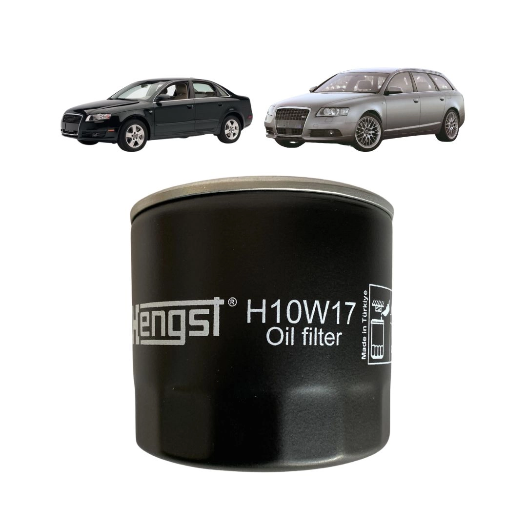 Filtro De Óleo Motor Para Audi A4 A6 Avant H10W17 Hengst