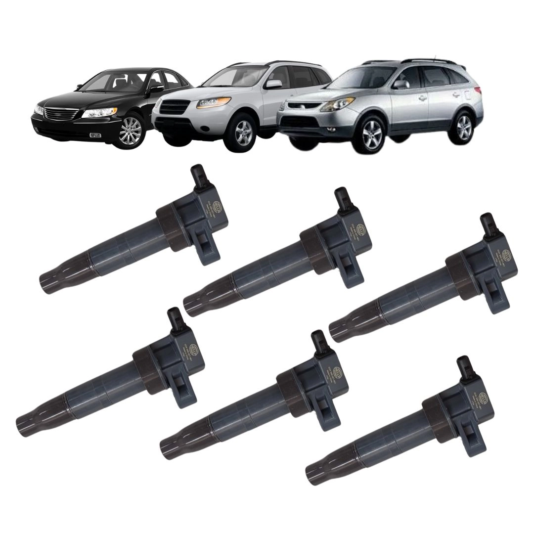 Kit 6 Bobina Ignição Para Azera Santa Fe Vera Cruz Sorento