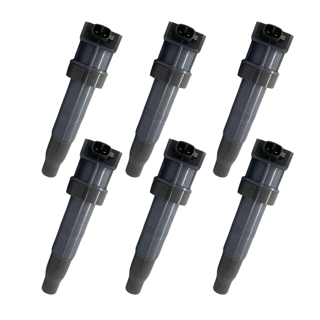 Kit 6 Bobina Ignição Para Azera Santa Fe Vera Cruz Sorento