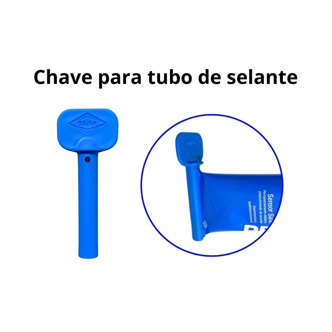 Par Cola Silicone Alta Temperatura Reinzosil Tampa Válvulas
